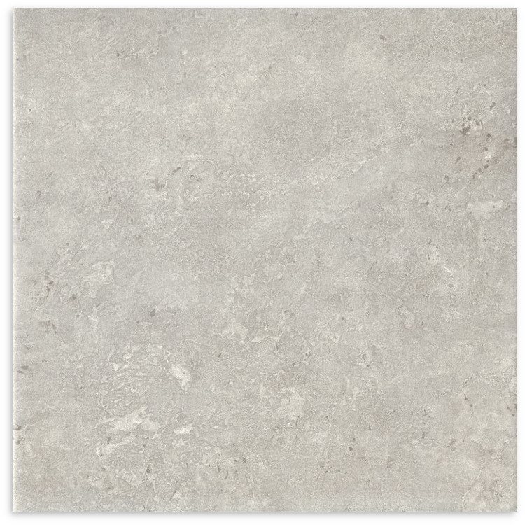 Fossil Stone Pebble