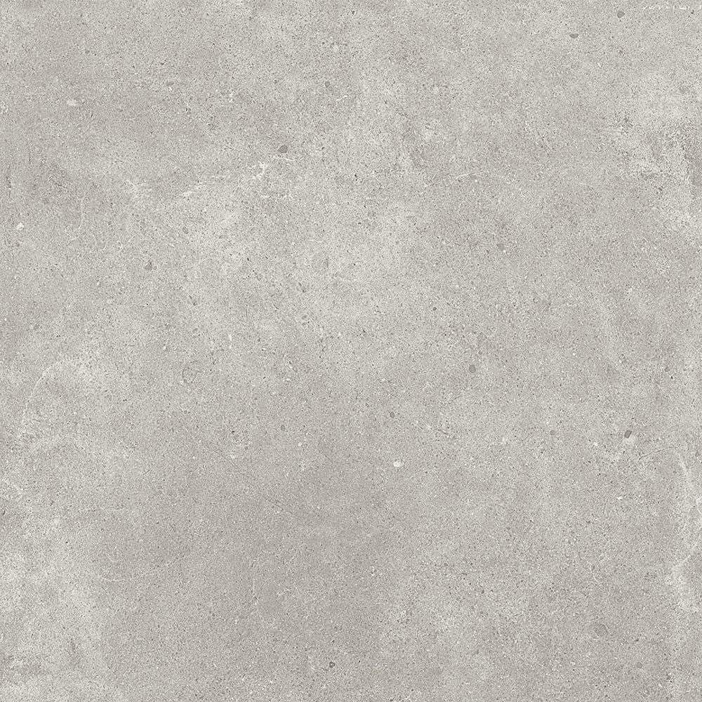 Paradigm Tortora